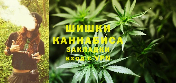 spice Бородино