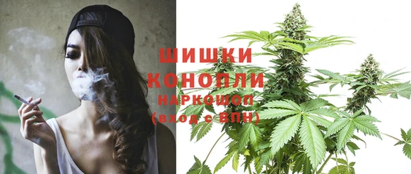 крисы Богородицк