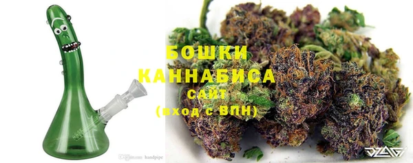 крисы Богородицк