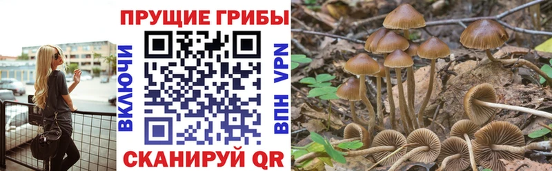 Псилоцибиновые грибы ЛСД  Дрезна 